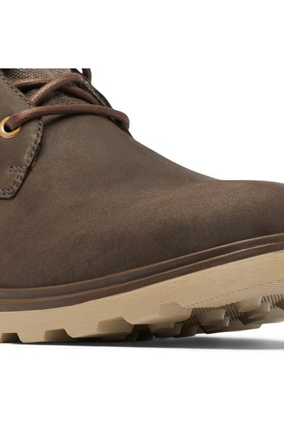 Sorel Carson Waterproof Chukka Boot In Blackened Brown/ Khaki