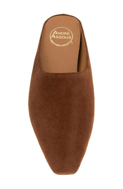 Shop Andre Assous Norma Featherweight Mule In Cocoa
