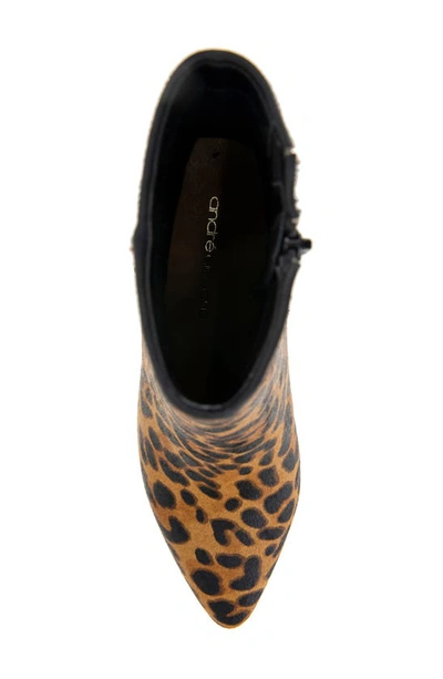 Shop Andre Assous Winter Bootie In Leopard