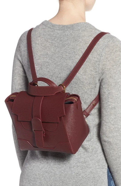 Shop Senreve Mini Maestra Leather Satchel In Bordeaux