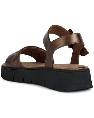 Shop Geox Dandra 40 C Sandal In Brown