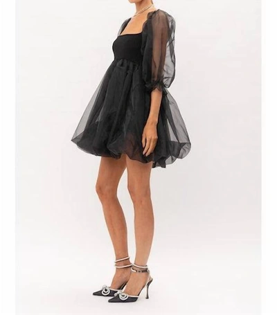 Shop Sofie The Label Mixed Media Knit & Organza Mini Dress In Black