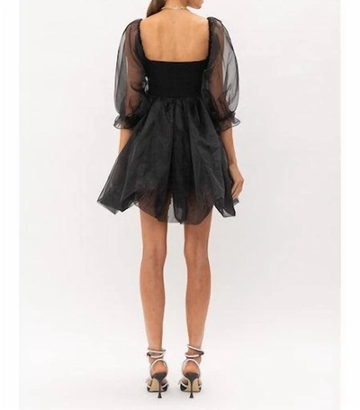Shop Sofie The Label Mixed Media Knit & Organza Mini Dress In Black