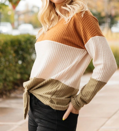 Shop Hayden La Stephanie Tie Front Sweater In Multi In Brown