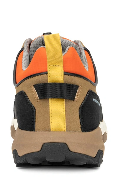 Hybrid Green Label Men's Casual Aconite Sneakers Men's Shoes In Tan