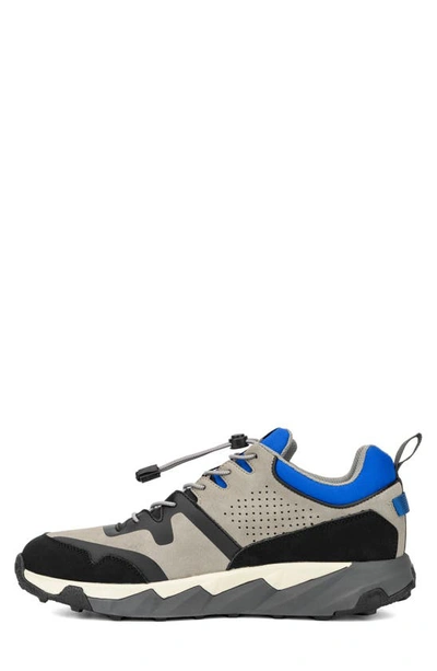 Hybrid Green Label Men's Casual Aconite Sneakers In Grey