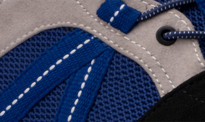 Hybrid Green Label Men's Lynx Low Top Sneakers In Blue