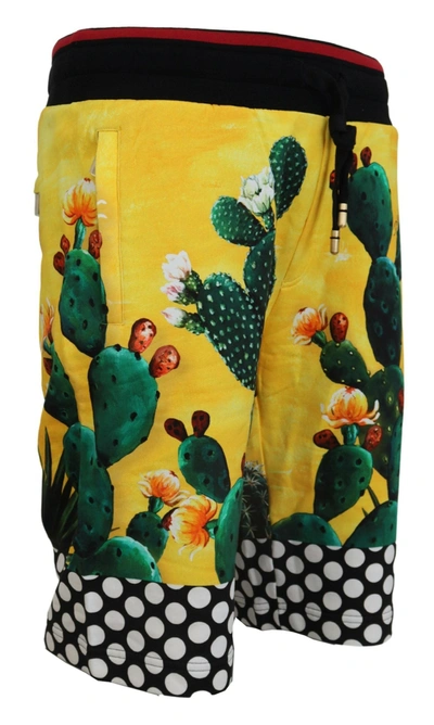 Shop Dolce & Gabbana Multicolor Cactus Print Cotton Sweat Men's Shorts