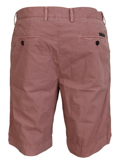 Shop Dolce & Gabbana Pink Chinos Cotton Casual Mens Men's Shorts