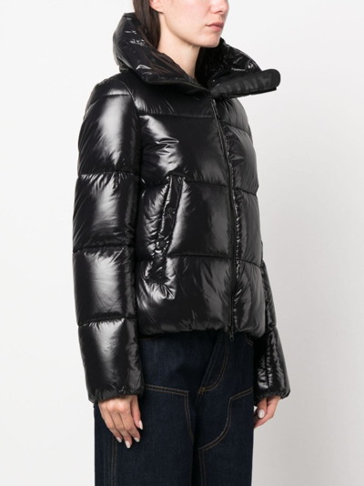 Shop Save The Duck Logo-patch Puffer Jacket In Black