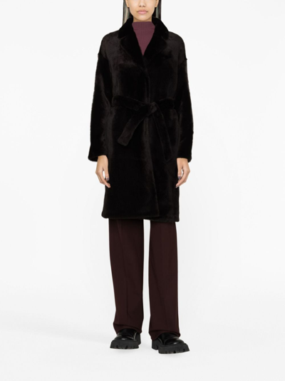 Shop Yves Salomon Belted Single-breasted Coat In Brown