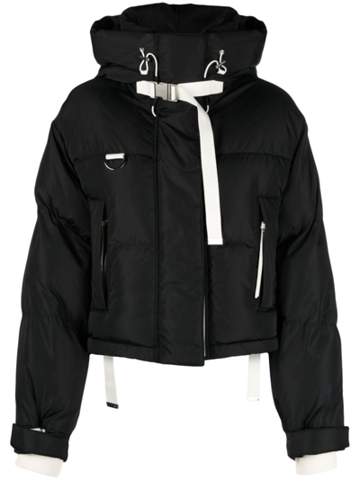 Shop Shoreditch Ski Club Willow Short Puffer Jacket In Black