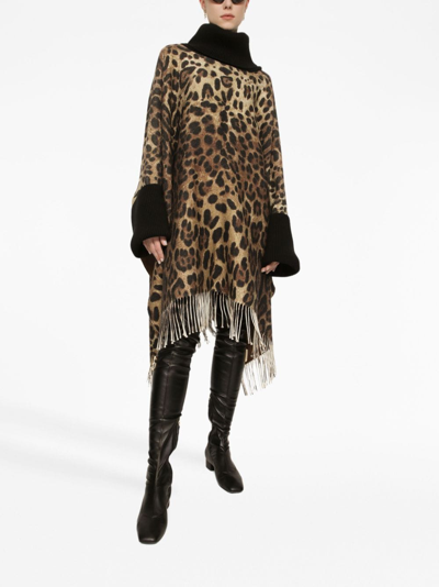 Shop Dolce & Gabbana Leopard-print Fringed Poncho In Brown