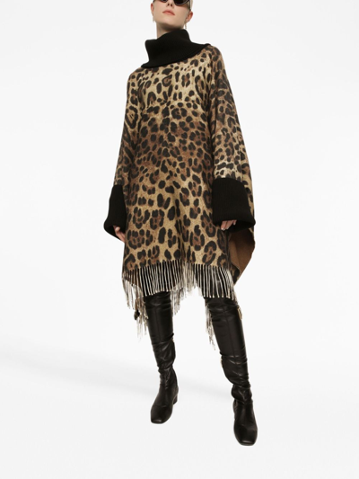 Shop Dolce & Gabbana Leopard-print Fringed Poncho In Brown