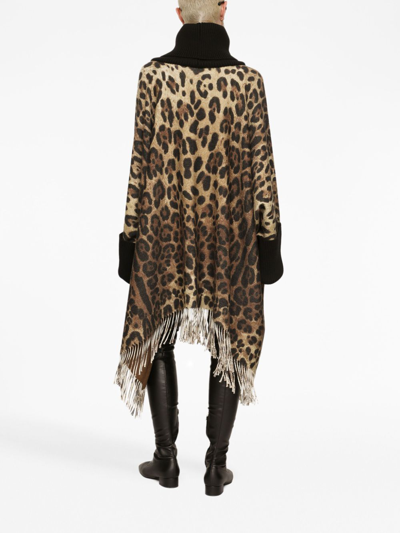 Shop Dolce & Gabbana Leopard-print Fringed Poncho In Brown
