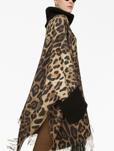 Shop Dolce & Gabbana Leopard-print Fringed Poncho In Brown