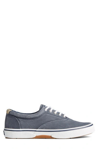 Sperry Halyard Saltwashed Low Top Sneaker In Navy