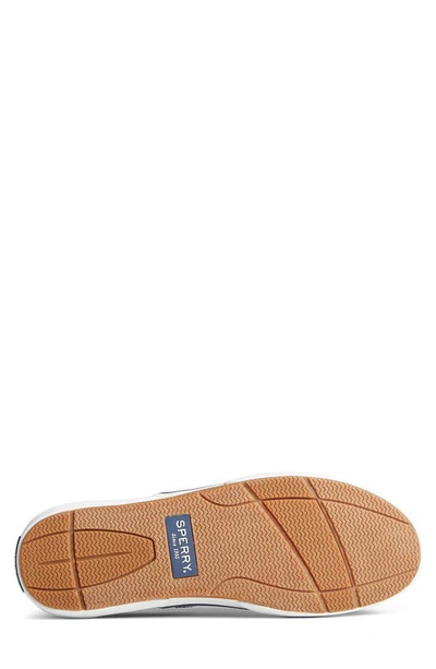 Sperry Halyard Saltwashed Low Top Sneaker In Navy