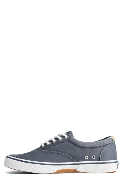 Sperry Halyard Saltwashed Low Top Sneaker In Navy