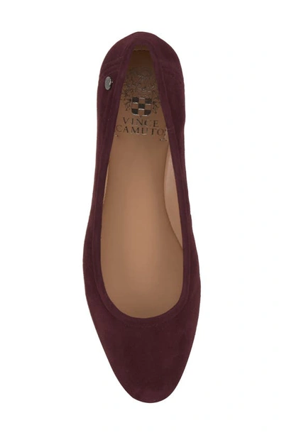 Shop Vince Camuto Minndy Flat In Petit Sirah
