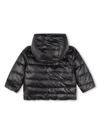 Shop Bosswear Reversible Puffer Jacket In Black