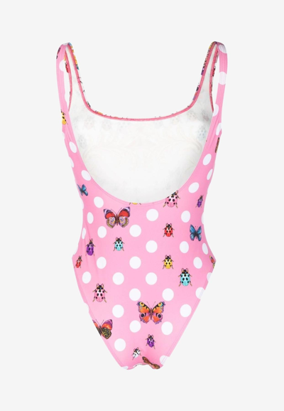 Shop Versace Butterflies One-piece Swimsuit In Multicolor