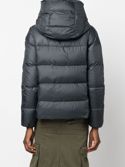 Shop Peuterey Tucano Mqe Hooded Puffer Jacket In Grey