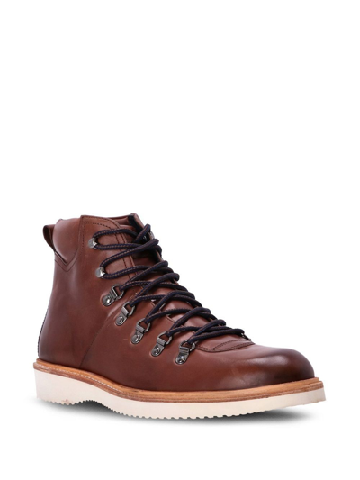 Shop Ted Baker Hiker Leather Ankle Boots In Brown