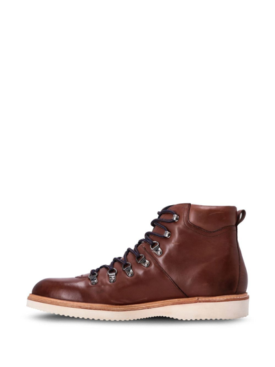 Shop Ted Baker Hiker Leather Ankle Boots In Brown