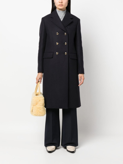 Miu Miu Scarves & Wraps In Black