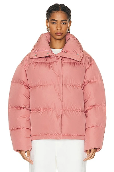 Shop Acne Studios Puffer Jacket In Blush Pink
