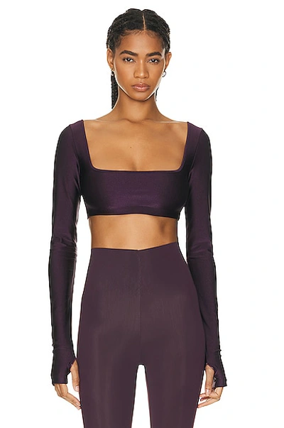 The Andamane Nyla Crop Top In Rouge Noir