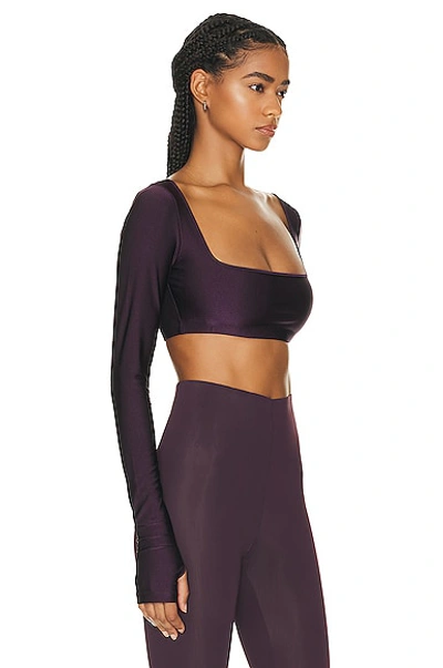 The Andamane Nyla Crop Top In Rouge Noir