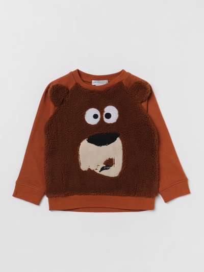 Shop Stella Mccartney Sweater  Kids Kids Color Brown