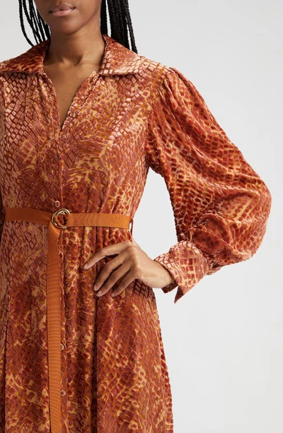 Shop Ulla Johnson Thalia Long Sleeve Velvet Burnout Shirtdress In Sienna