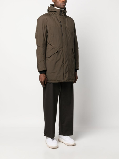 Herno Hooded Concealed-zip Fastening Jacket In Green