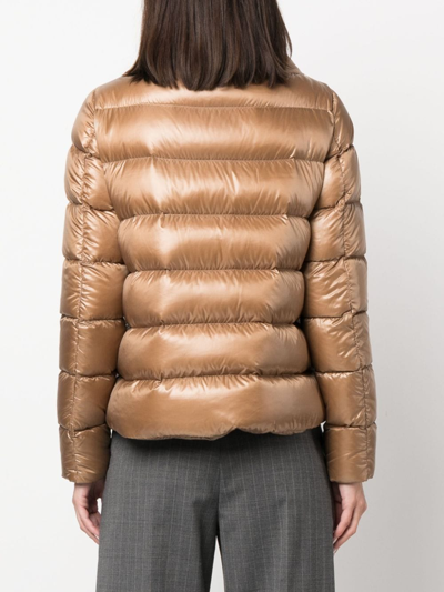 Shop Herno Funnel-neck Padded Jacket In Brown