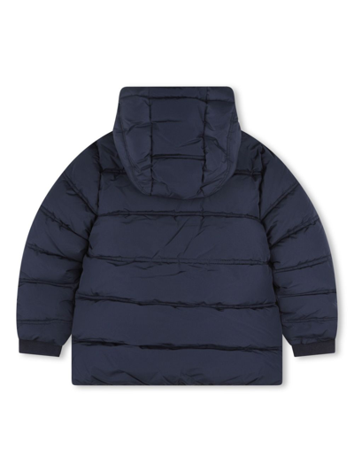 Shop Bosswear Embroidered-logo Padded Jacket In Blue