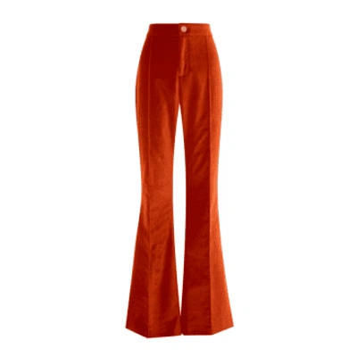 Shop Lisou Kelly Burnt Orange Velvet Trousers
