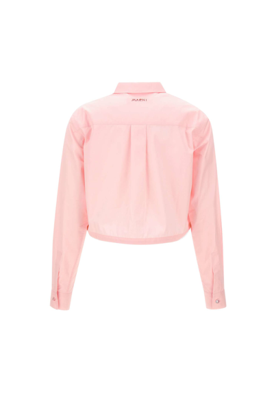 Shop Marni Cotton Poplin Shirt In Pink