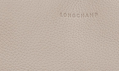 Shop Longchamp Roseau Essential Half Moon Hobo Bag In Clay