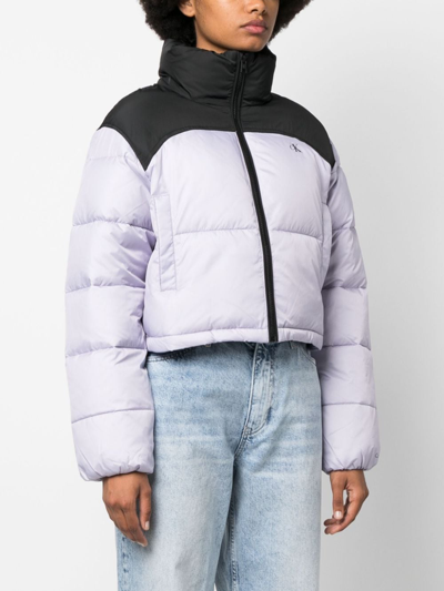 Calvin Klein Jeans Est.1978 Colour-block High-neck Puffer Jacket In Violett
