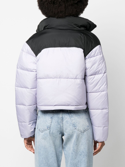 Calvin Klein Jeans Est.1978 Colour-block High-neck Puffer Jacket In Violett