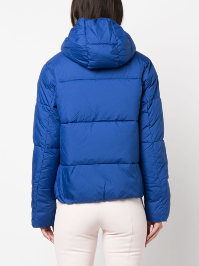 Shop Rossignol Padded Zip-fastening Jacket In Blue