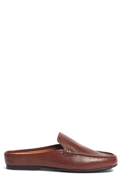 Carlos Santana Cronos Alli Croc Embossed Mule In Brown