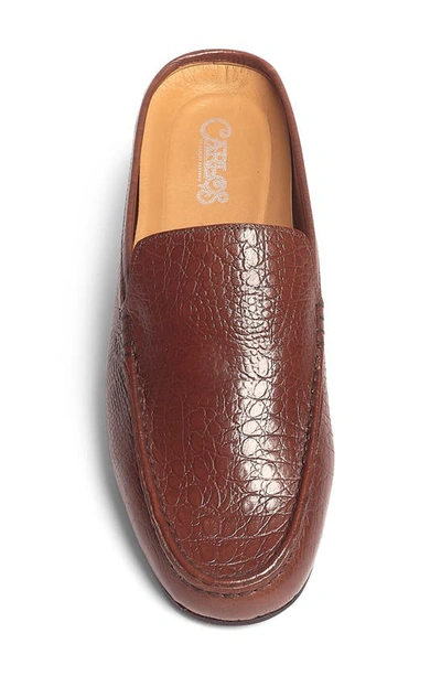 Carlos Santana Cronos Alli Croc Embossed Mule In Brown