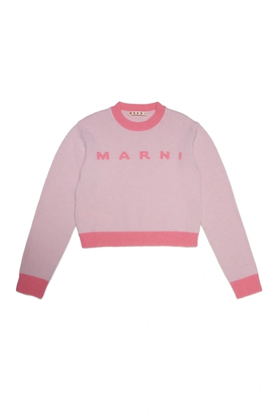 Shop Marni Colorblock Wool-cashmere Blend Crew-neck Sweater In Pink