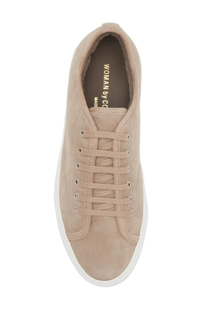Shop Common Projects Tournament Genuine Shearling Lined Low Top Sneaker In Brown