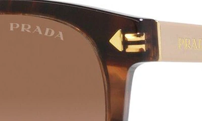 Shop Prada 53mm Square Sunglasses In Brown Tort