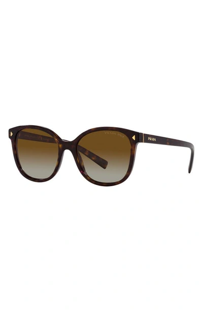Shop Prada 53mm Gradient Polarized Square Sunglasses In Tortoise